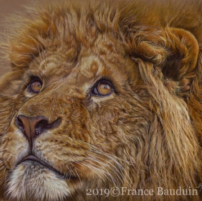 Hope 104 hours
Brown Pastelmat Board
13.5" x 18"
Golden Turtle finalist 2020
